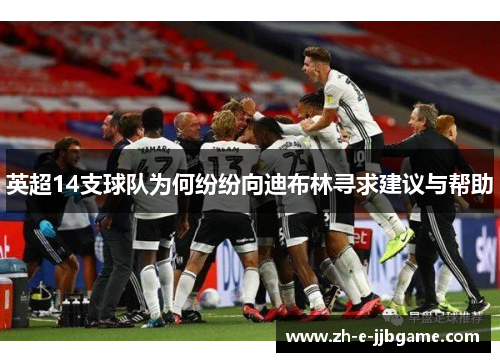 英超14支球队为何纷纷向迪布林寻求建议与帮助