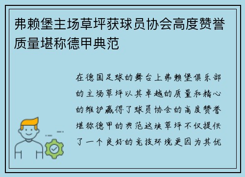 弗赖堡主场草坪获球员协会高度赞誉质量堪称德甲典范